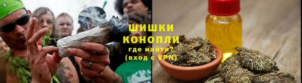 крисы Наволоки