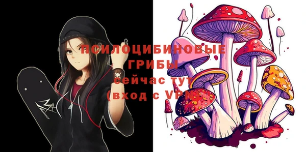 крисы Наволоки
