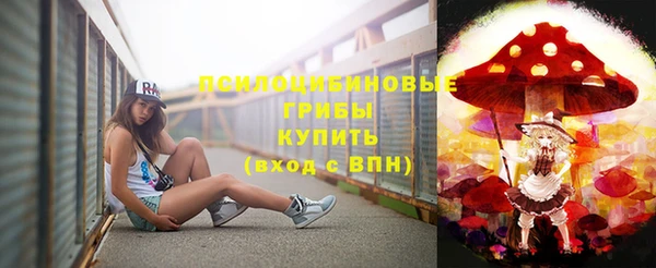 дурь Надым