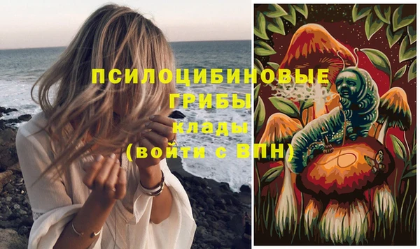 крисы Наволоки